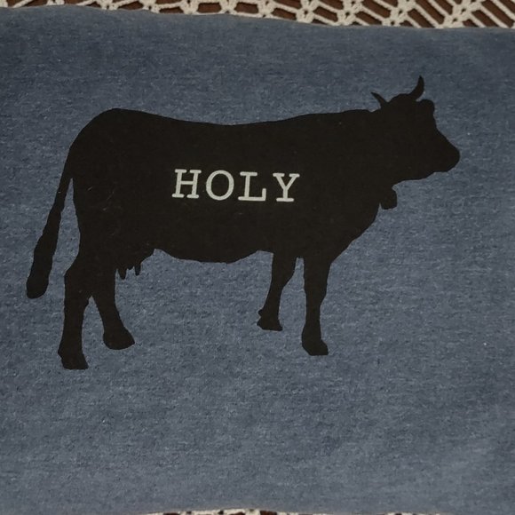 Rag Frog Revival Holy cow Throw pillow COVER ONLY size 11"x14" - Picture 3 of 4